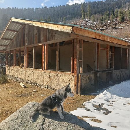 Trimounts-A Boutique Hotel & Wellnes Center In Tirthan Valley Banjār Zewnętrze zdjęcie
