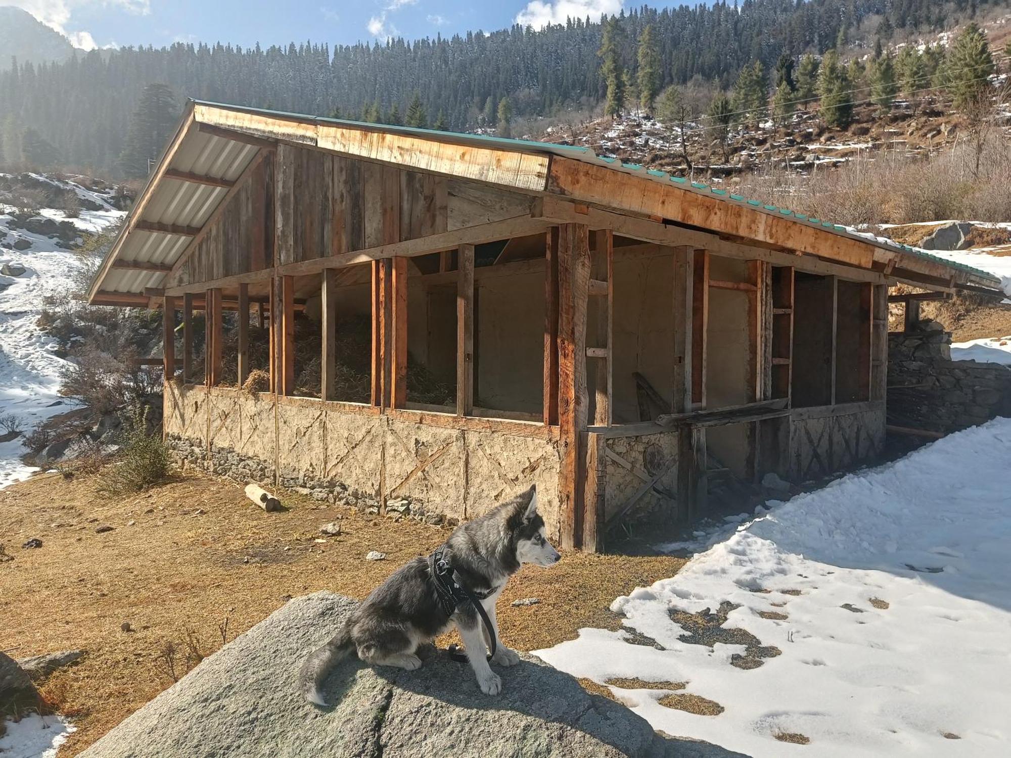 Trimounts-A Boutique Hotel & Wellnes Center In Tirthan Valley Banjār Zewnętrze zdjęcie