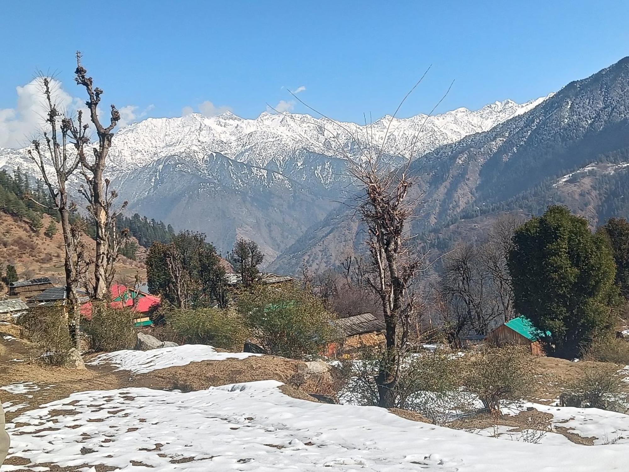 Trimounts-A Boutique Hotel & Wellnes Center In Tirthan Valley Banjār Zewnętrze zdjęcie