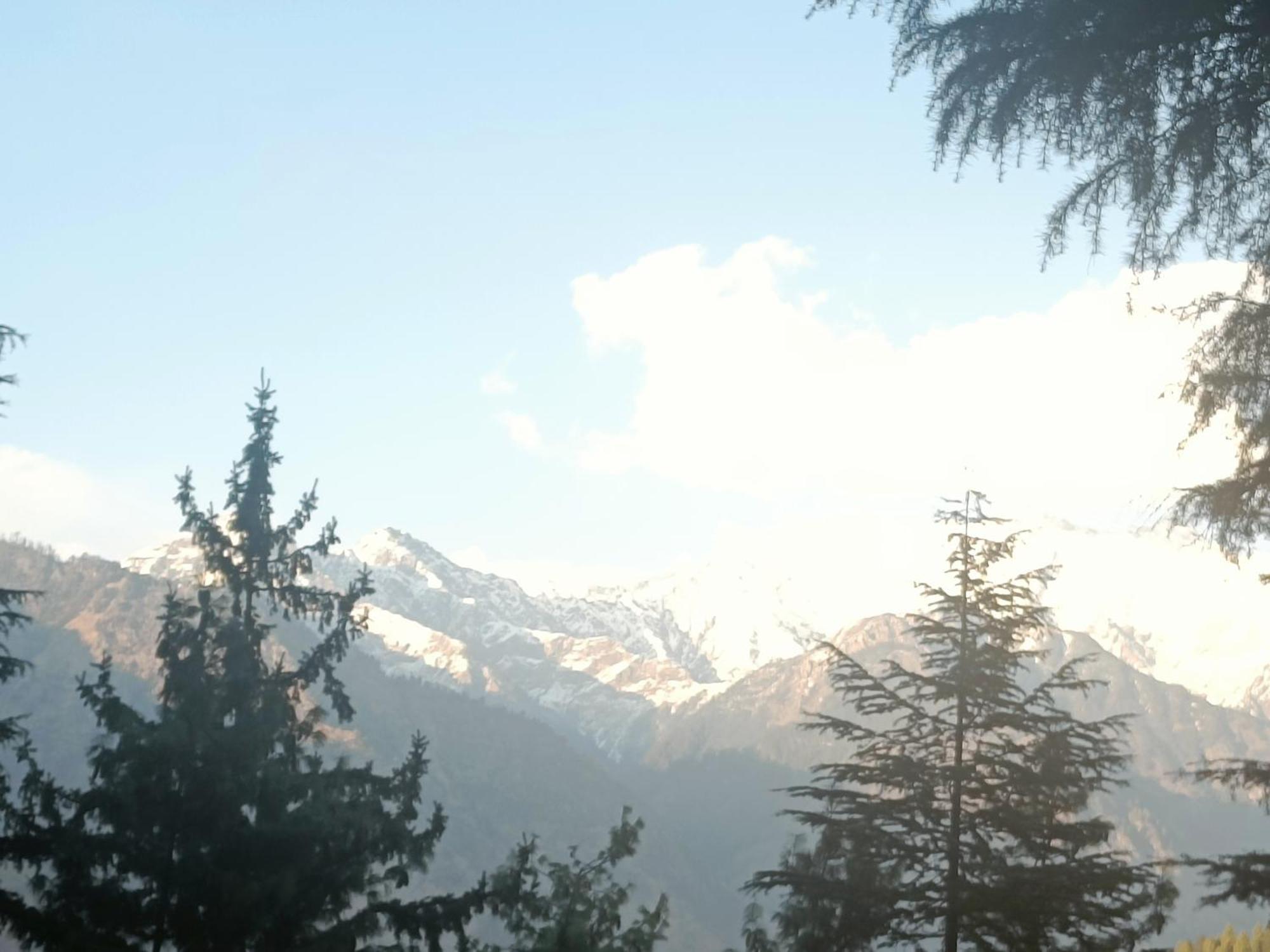 Trimounts-A Boutique Hotel & Wellnes Center In Tirthan Valley Banjār Zewnętrze zdjęcie