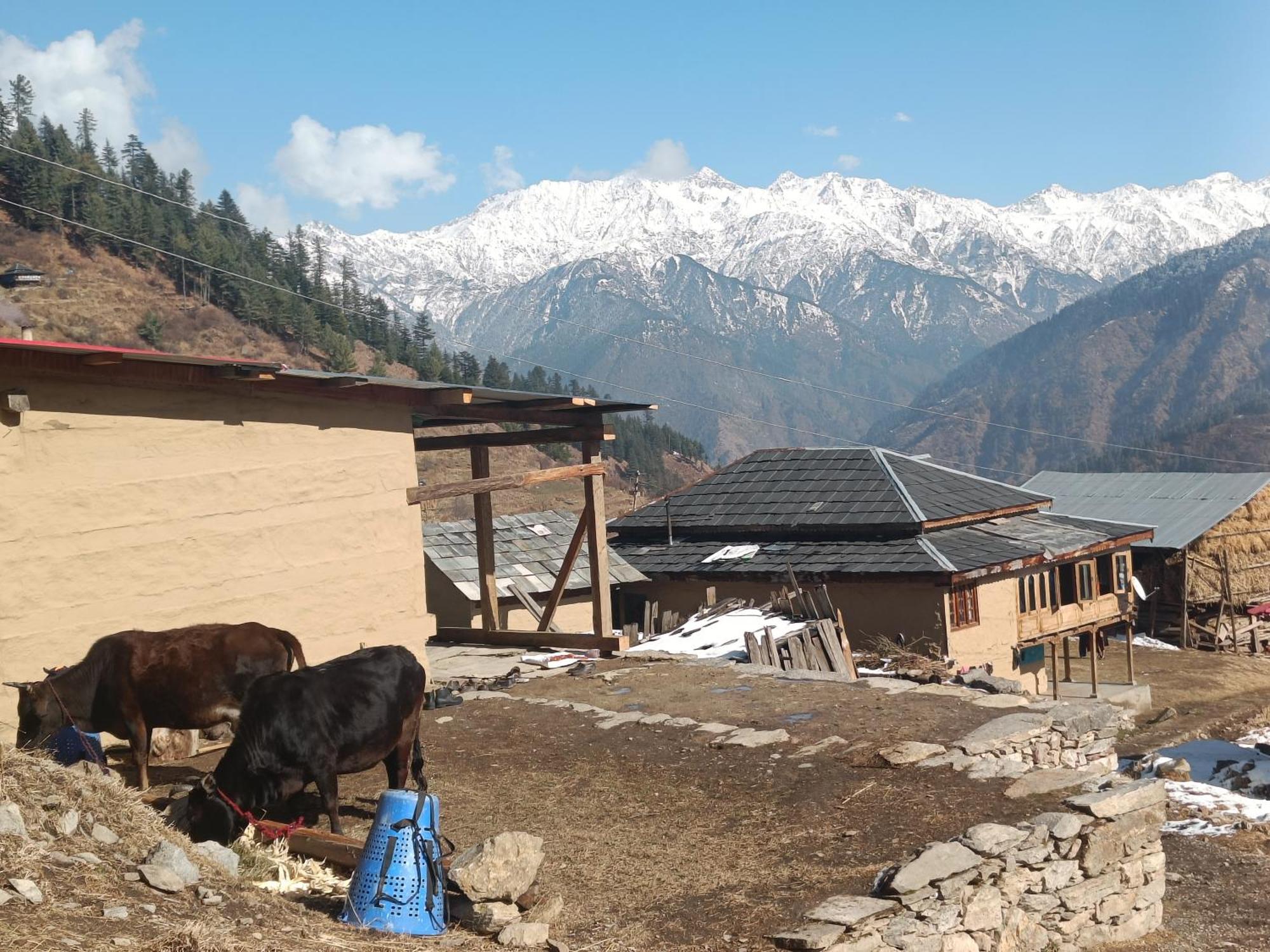 Trimounts-A Boutique Hotel & Wellnes Center In Tirthan Valley Banjār Zewnętrze zdjęcie