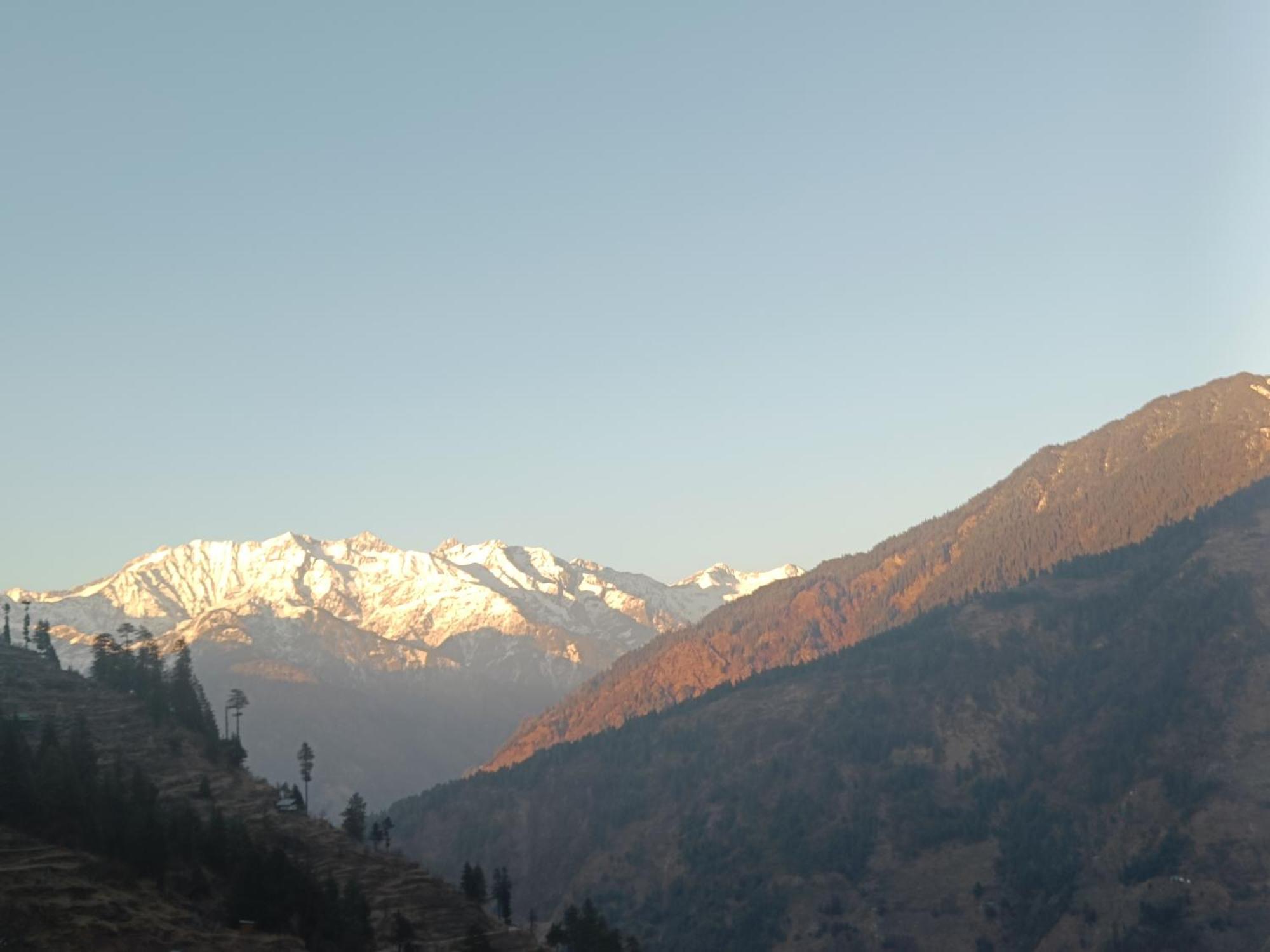 Trimounts-A Boutique Hotel & Wellnes Center In Tirthan Valley Banjār Zewnętrze zdjęcie