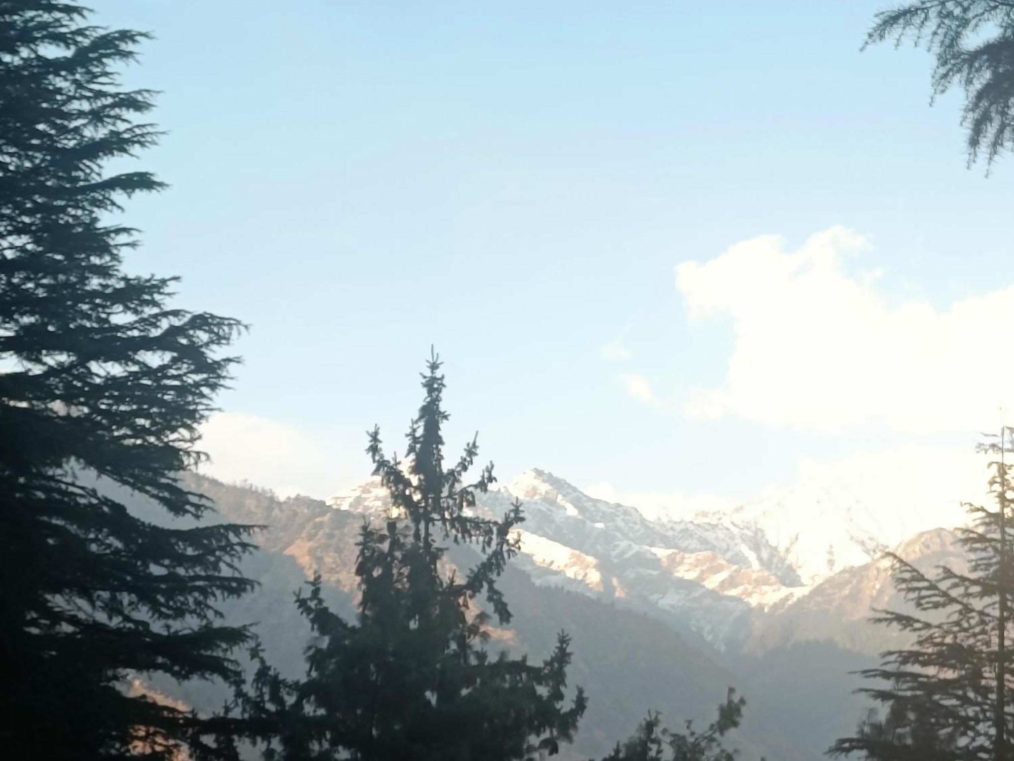 Trimounts-A Boutique Hotel & Wellnes Center In Tirthan Valley Banjār Zewnętrze zdjęcie